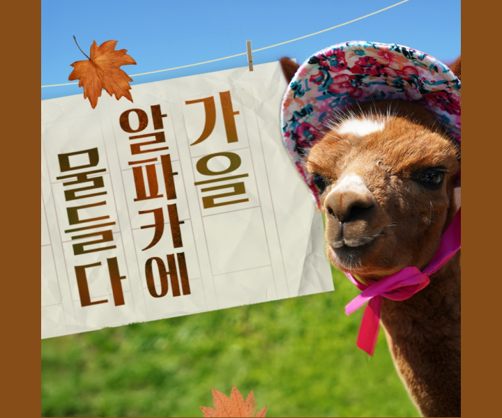 알파카월드 입장권