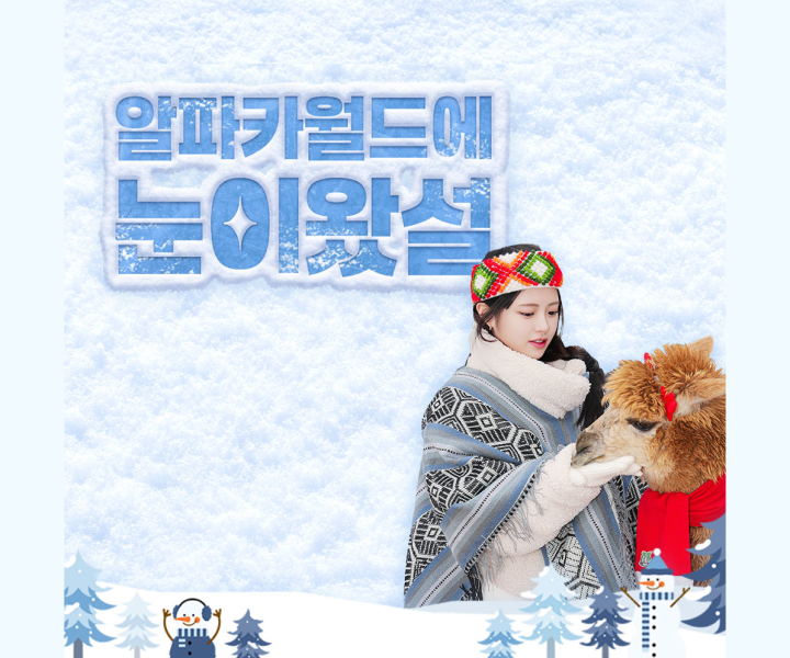 알파카월드 입장권